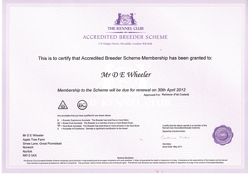 How to become a certified best sale breeder