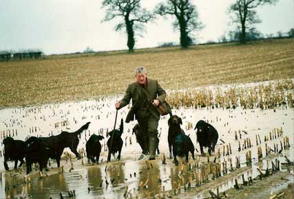 flatcoat retrievers